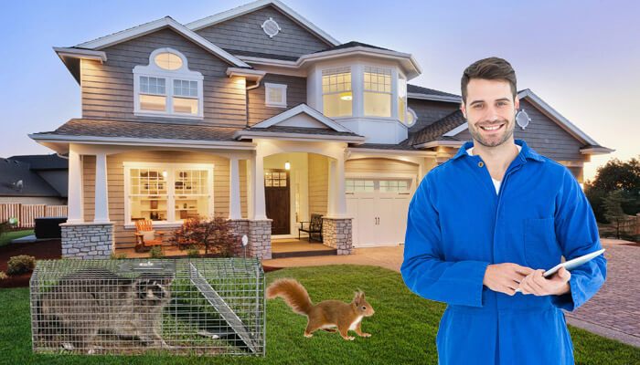 Residential & Commercial